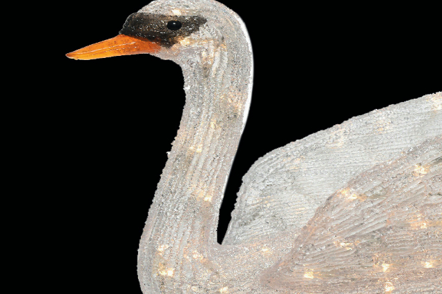 »SchwanenSeh«  Ausstellung mit Künstlern des Vereins