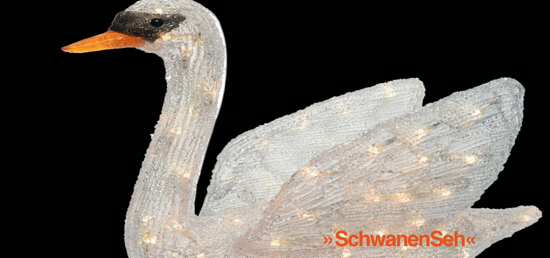 »SchwanenSeh«  Ausstellung mit Künstlern des Vereins