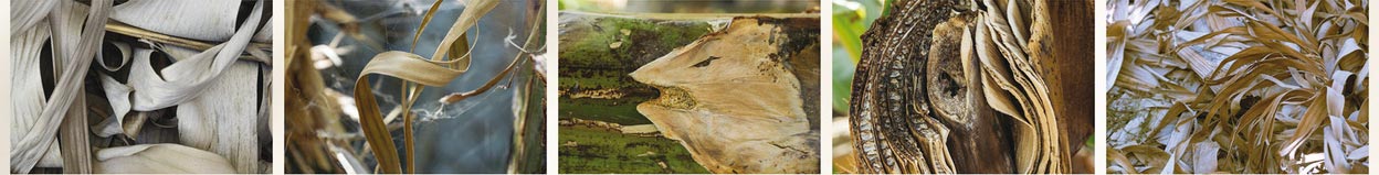 wolfram schmidt banner