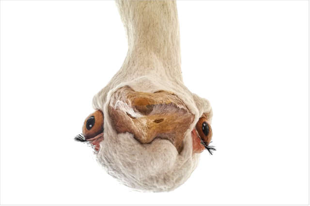 „Nahsicht“ von Maximilian Erl und Tamara Hoyer