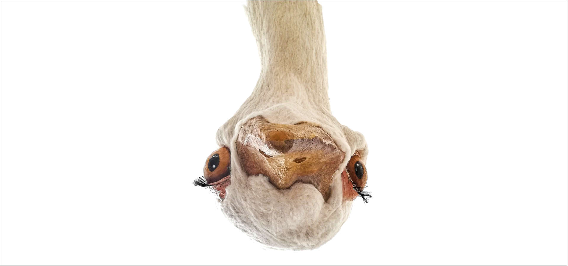 „Nahsicht“ von Maximilian Erl und Tamara Hoyer