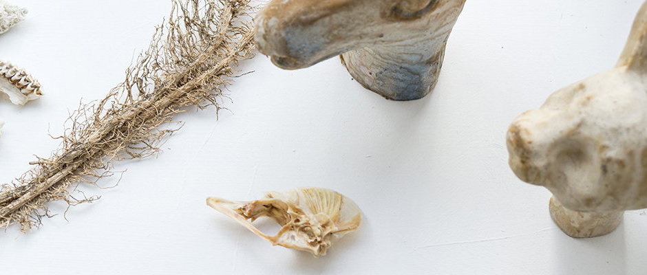 3. Juni bis 25. Juni 2016: »Resonanz der Orte«   Dorothea Dudek und Brigitte Heintze mit Malerei und Zeichnung - Foto: Wolfram Schmidt